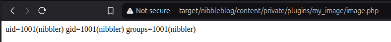 The execution result of the web shell code