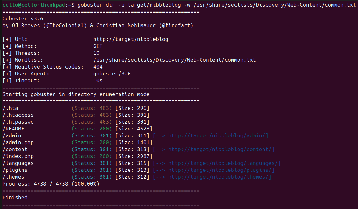 Hidden sub-directory URLs found by Gobuster