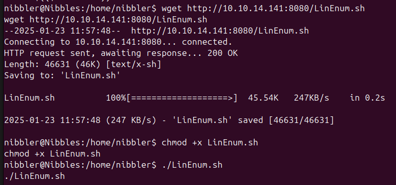 Uploading the LinEnum.sh script
