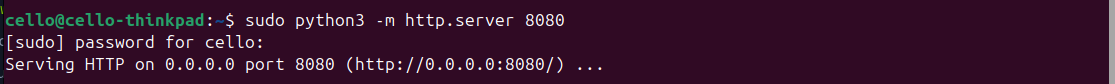 Starting the python http server in the directory of the enumeration script