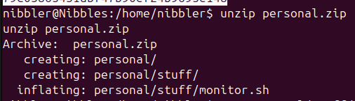 The unpacked ZIP file contains a script