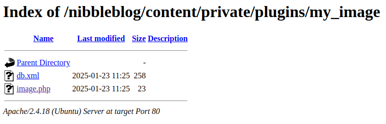 The uploaded web shell file on the server