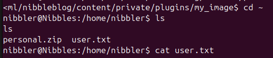Gaining the user flag